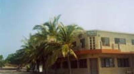 Grupo Tortuguero Pacto