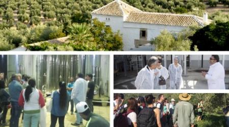 Oleoturismo Cortijo Spiritu Santo