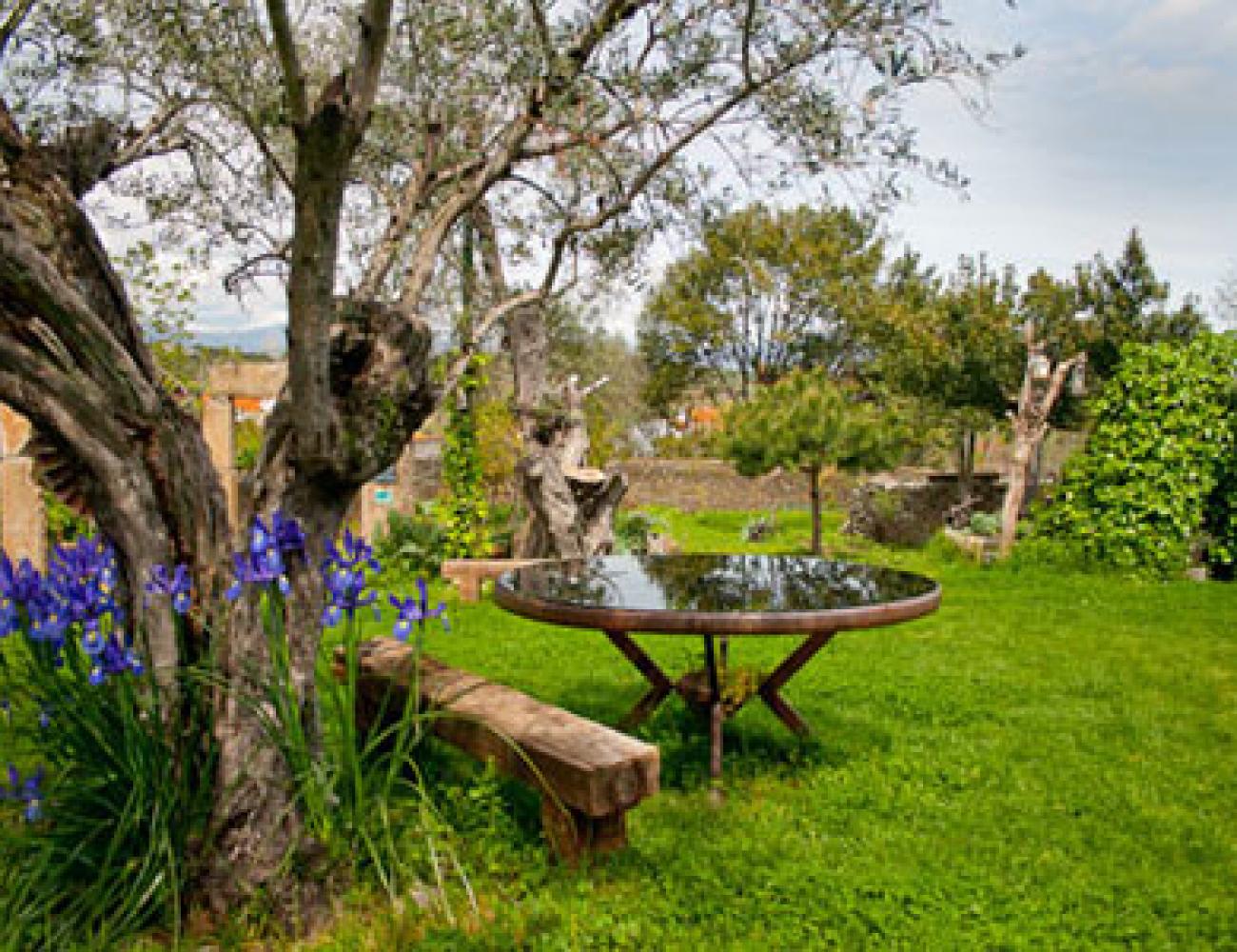 Apartamentos Rurales La Solana Apartamentos Rurales La Solana