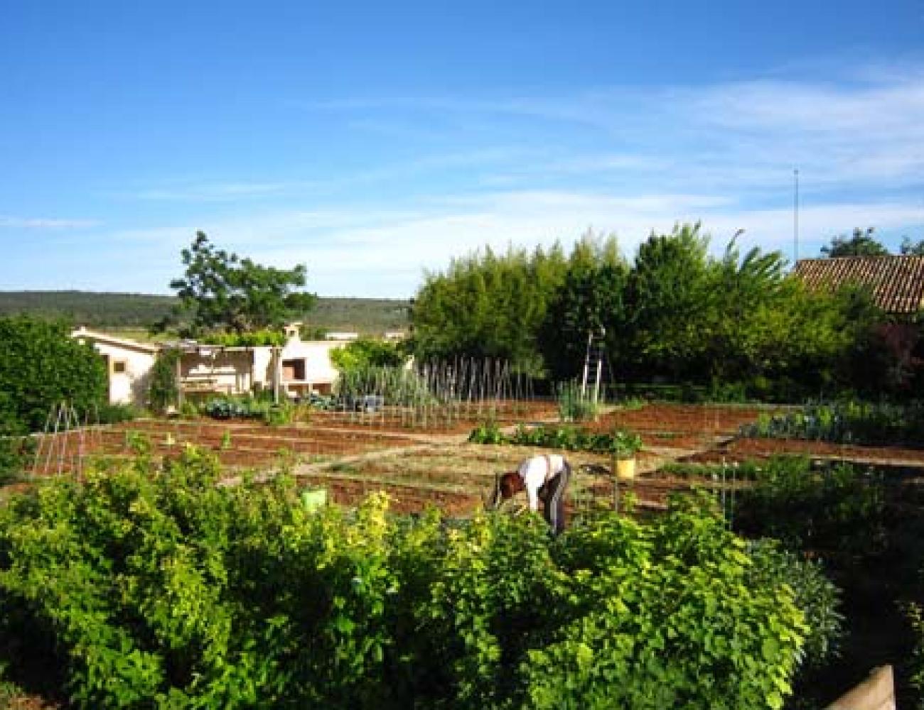 Club Ecológico Cuesta de Patas Club Ecológico Cuesta de Patas