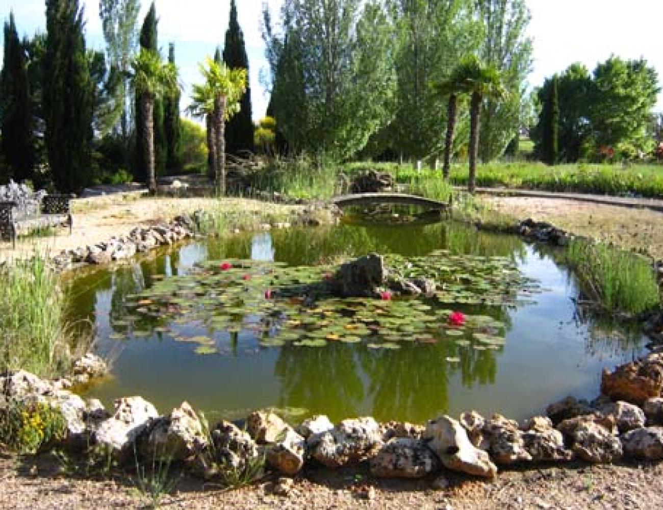 Club Ecológico Cuesta de Patas Club Ecológico Cuesta de Patas